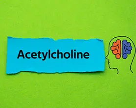 Neurothrive ingredient Alpha GPC